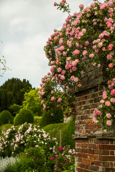 Goodnestone Park Gardens